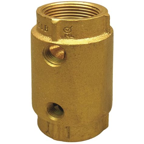 compressor check valve lowe's